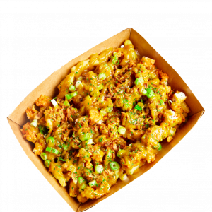 Katsu Curry Loaded Fries