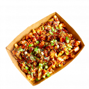 Teriyaki Loaded Fries